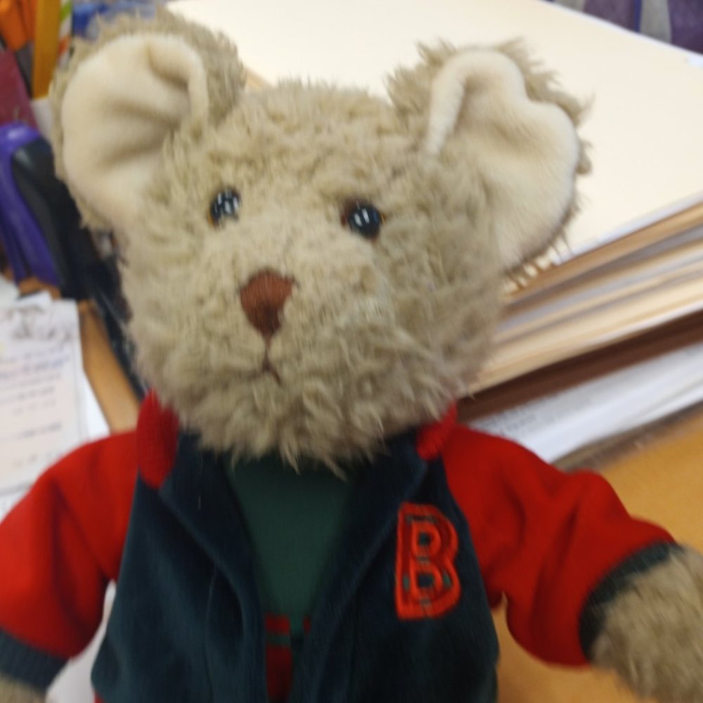 christmas teddy bear